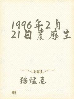 1996年2月21日农历生辰八字