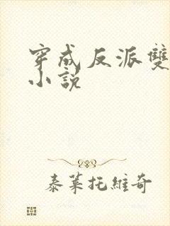 穿成反派双男主小说