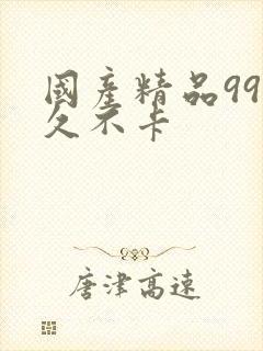 国产精品99久久不卡