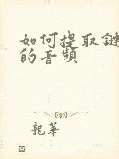 如何提取链接中的音频