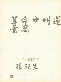 算命中叫运什么意思