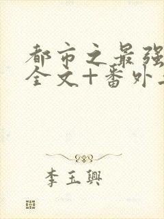 都市之最强狂兵全文+番外无删减