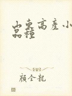 山东高产小麦新品种