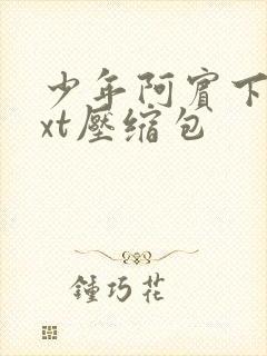 少年阿宾下载txt压缩包