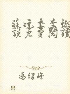 苏晚季李燃森小说免费阅读
