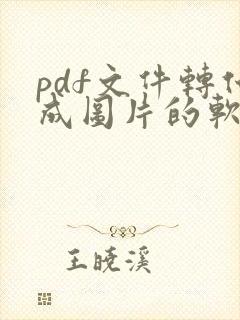 pdf文件转化成图片的软件