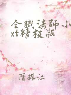 全职法师小说txt精校版