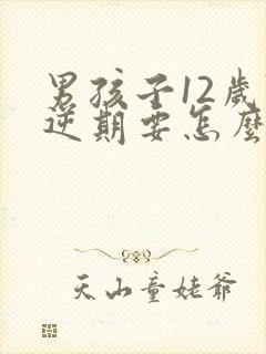 男孩子12岁叛逆期要怎么管教
