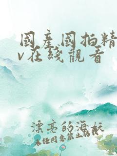 国产国拍精品av在线观看