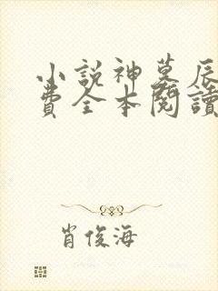 小说神墓辰东免费全本阅读