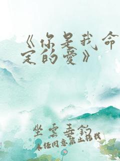 《你是我命中注定的爱》