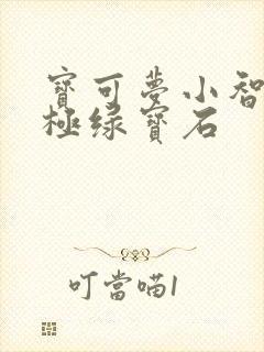 宝可梦小智版究极绿宝石