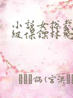 小说女总裁的神级保镖林飞
