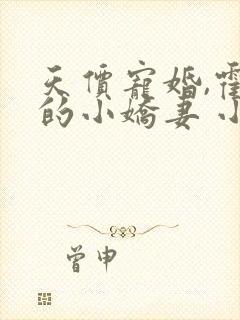 天价宠婚,霍总的小娇妻 小说