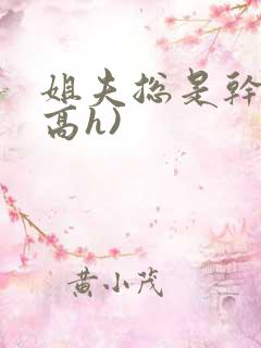 姐夫总是干她(高h)