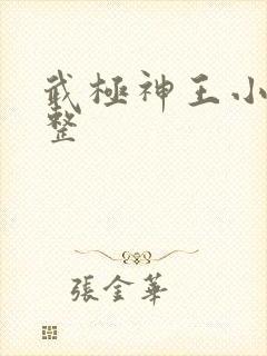 武极神王小说完整