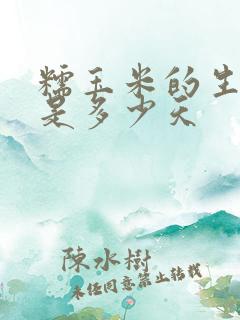 糯玉米的生长期是多少天