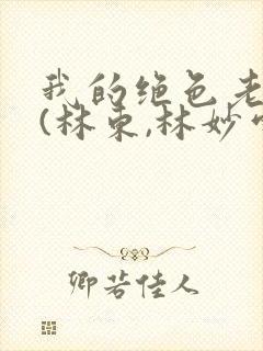 我的绝色老板娘(林东,林妙雪)