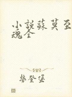 小说苏莫至尊武魂全