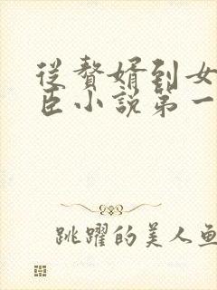 从赘婿到女帝宠臣小说第一部