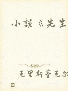 小说《先生》