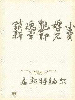 销魂艳婢小说最新章节免费阅读