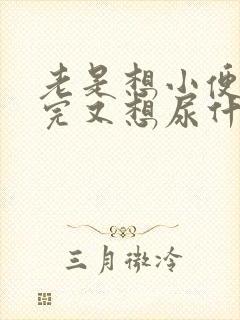 老是想小便刚尿完又想尿什么原因吃什么药