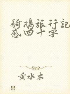 骑鹅旅行记读后感四十字