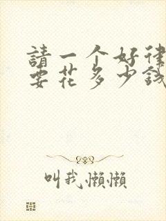 请一个好律师需要花多少钱