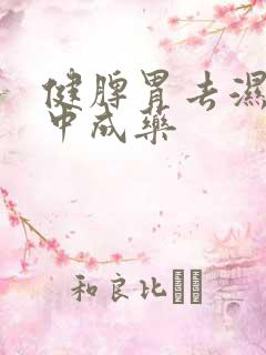 健脾胃去湿气的中成药