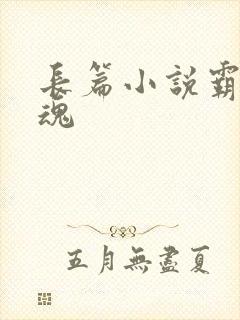 长篇小说霸天武魂