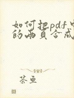 如何把pdf中的两页合成一页