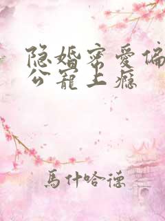 隐婚密爱偏执老公宠上瘾