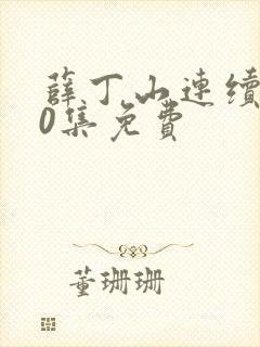 薛丁山连续剧40集免费