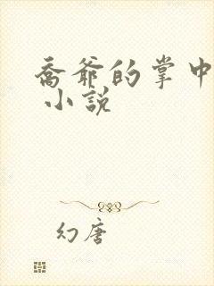 乔爷的掌中宠妻 小说