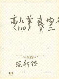 高h荤爽肉欲文〈np〉宝玉