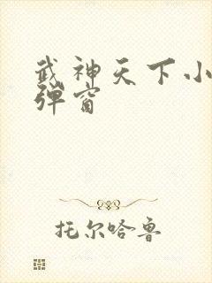 武神天下小说无弹窗
