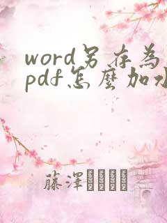 word另存为pdf怎么加水印