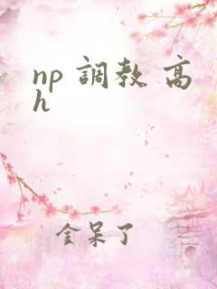 np 调教 高h