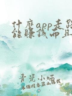 什么app走路能赚钱而且赚的多
