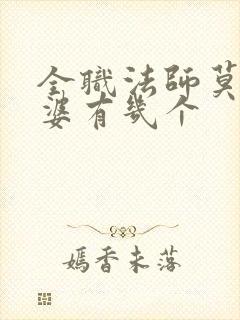 全职法师莫凡老婆有几个