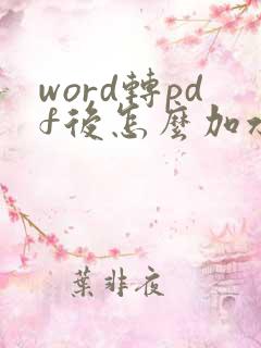 word转pdf后怎么加水印