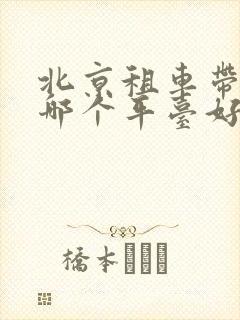 北京租车带司机哪个平台好