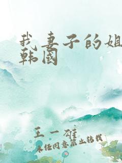 我妻子的姐姐3韩国
