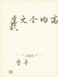 虐文全肉高h总裁