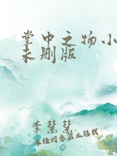 掌中之物小说 未删版