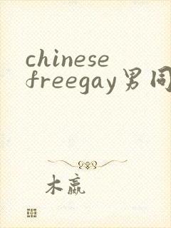 chinesefreegay男同
