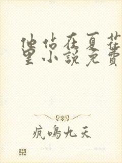 他站在夏花绚烂里小说免费下载