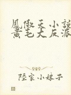 凤傲天小说里的黄毛大反派也想要幸福