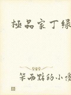 极品家丁绿帽版